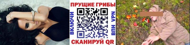 Псилоцибиновые грибы мицелий Курск